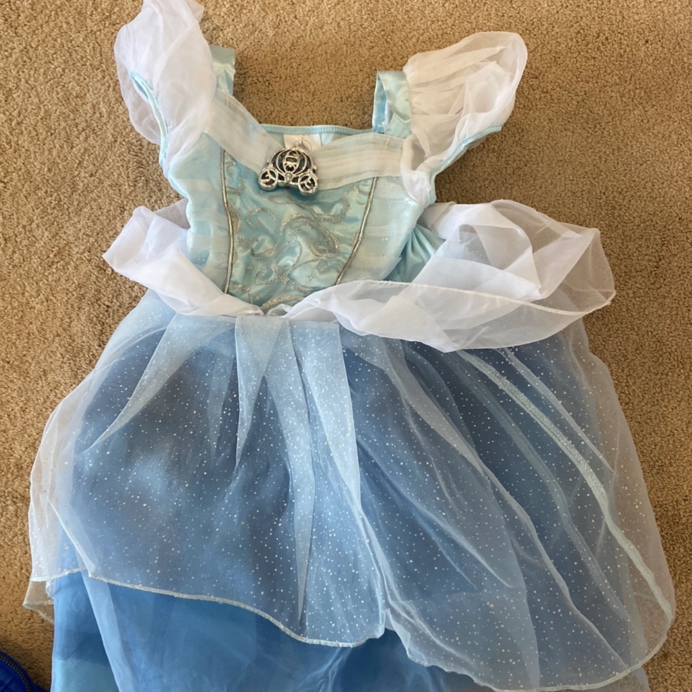 Cinderella costume